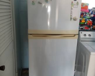 Garage fridge