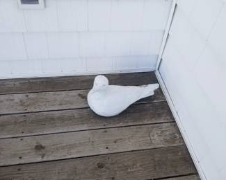 Concrete seagull