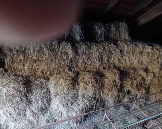 About 150 bales of last year's 2nd cutting