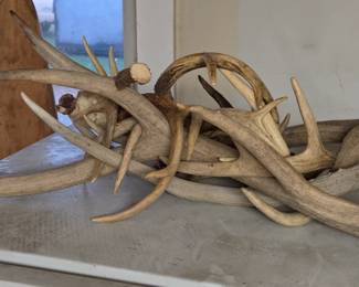Horns