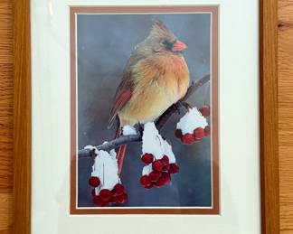 Framed Female Cardinal