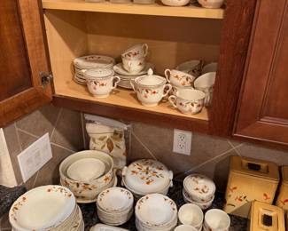 Over 100 Pieces Halls Quality Dish Set