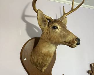 Deer Head w/ Hoof Rifle Holder