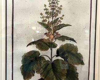 37. Pair of Gilt Frames Botanicals (28.5" x 34.5")