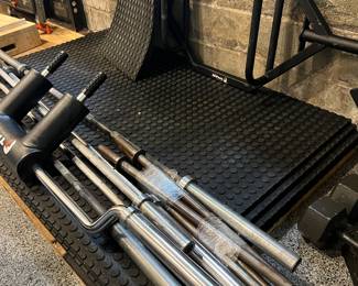 111. Rogue Weight Lifter Bench
