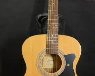 Ibanez IJVC50NT Acoustic Guitar