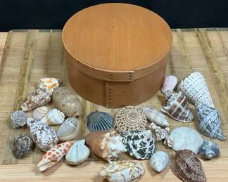 Shaker Box With Shells