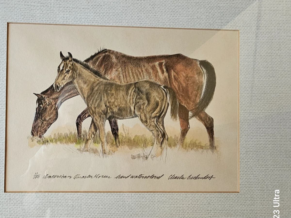 Horse art