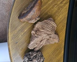 rocks