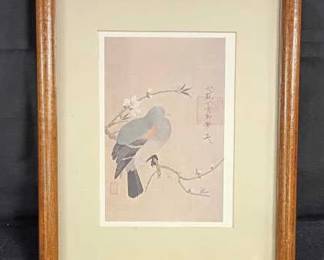 Framed Bird Art