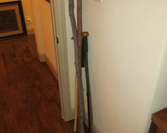 great walking sticks
