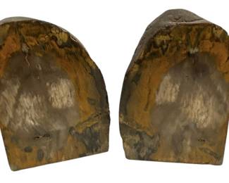 Polished Petrified Wood Bookends