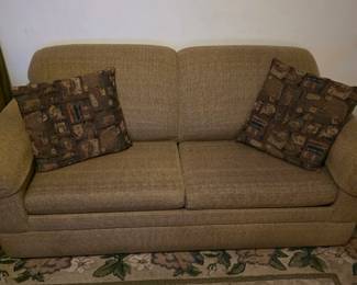 Sleeper sofa.  $50
