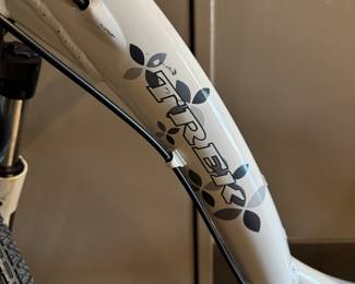 Trek Cruiser. Photo 2 of 2.