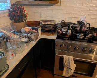 Lots of kitchen items. Pressure cooker, sous vide, rice cooker, immersion blender and so much more. Anything you need to get your kitchen ready to cook!