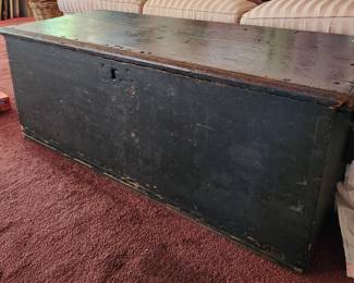 Primitive trunk