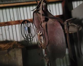 Saddle