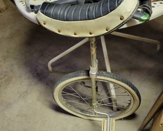 Unicycle