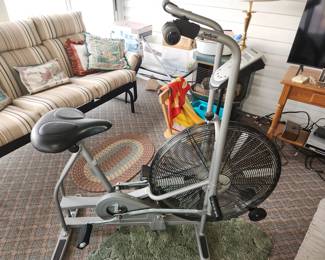 Schwinn Aerodyne exercise bike