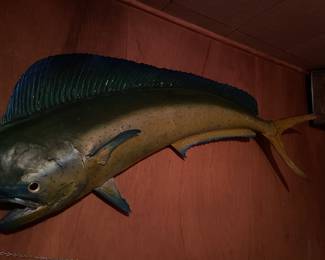 VTG Mahi-Mahi