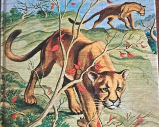 att.2Tje hchfnY2IxjUjxufj3gLkdDzELWm6tWumjClP3Y