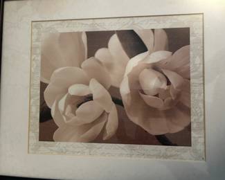 Pair of Floral Photographs