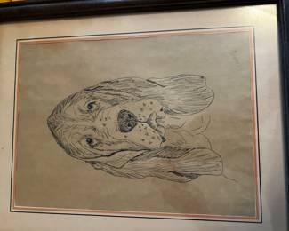 Bassett Hound Drawing