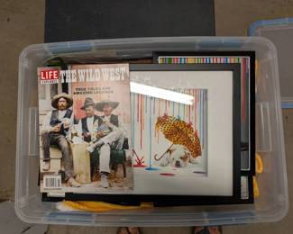 WST088 Mystery Box. Up for Auction! "What Will You Find In It?"