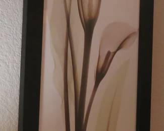 Modern art print - Calla Lily by Albert Koetsier