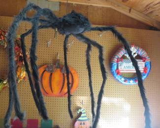 Spider