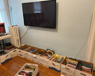 Travel books; television