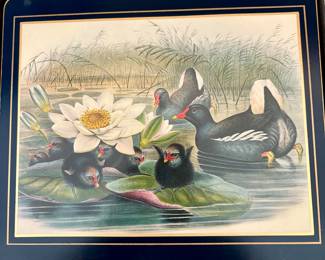 English bird placemats/tray