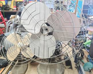 Fans