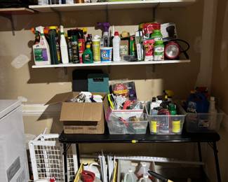 Yard/House Chemicals, Paints