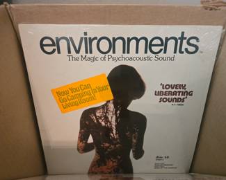 Vintage Vinyl Records 