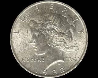 wIMG 7093 t