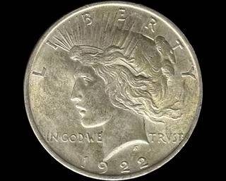 wIMG 7123 t