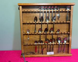 Vintage Collectible Spoon Set
