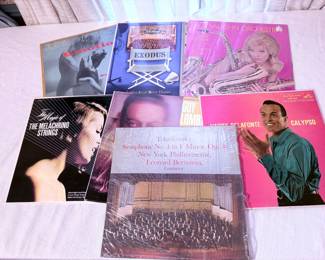 Vintage Vinyl Record Collection