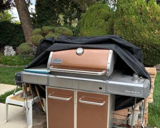 Weber Genesis EP - 310 premium gas grill incl. cover