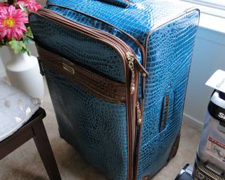 Fun faux luggage