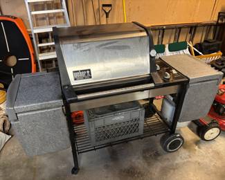 Weber genesis gas grill