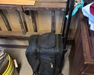 Bowling ball and bag