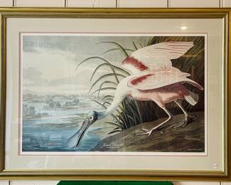 Roseate Spoonbill