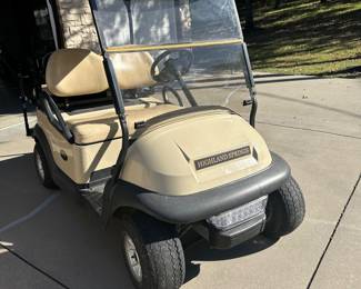 Electric golf cart 2011