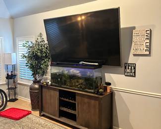 Flat screen televisions