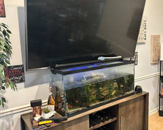 Fish tanks with fish
