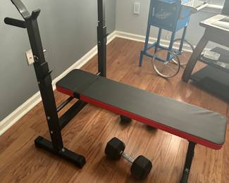 Bench and weights