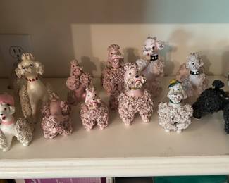 Spaghetti poodles