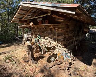 Behind Log Cabin 
